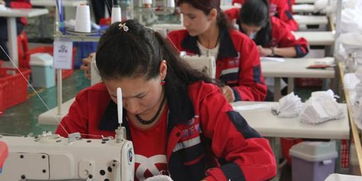 深圳援疆企业助力塔县 服装产品远销欧洲